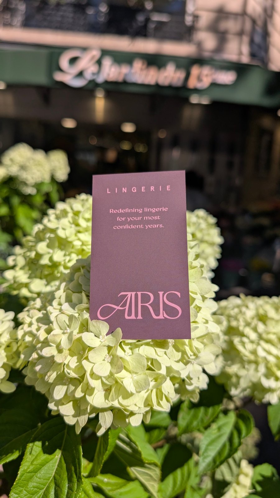 An Airis card held among pale green hydrangeas outside a Paris shop